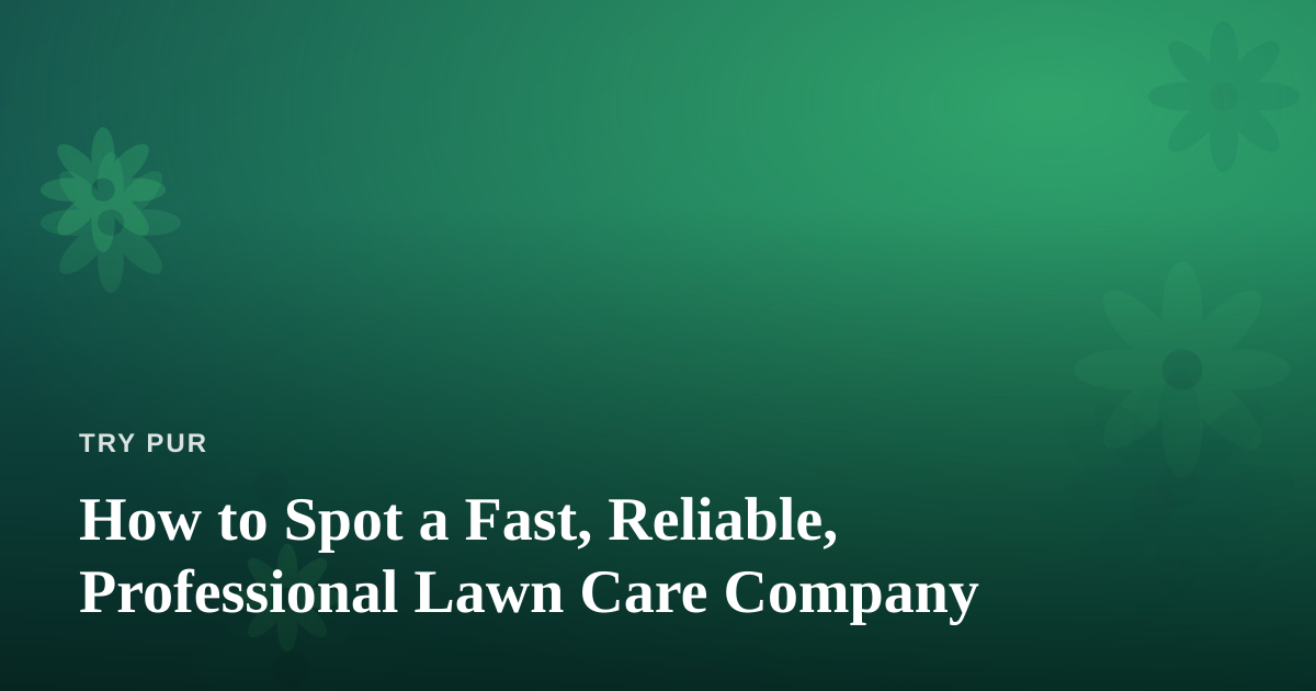 How to Spot a Fast, Reliable, Professional Lawn Care Company