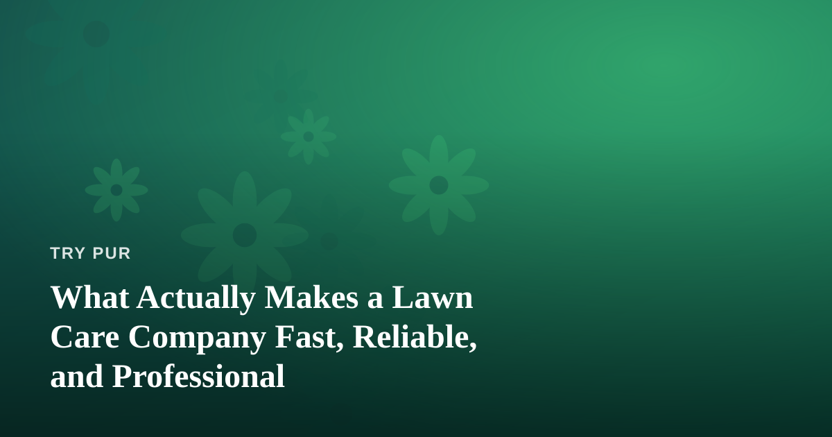What Actually Makes a Lawn Care Company Fast, Reliable, and Professional