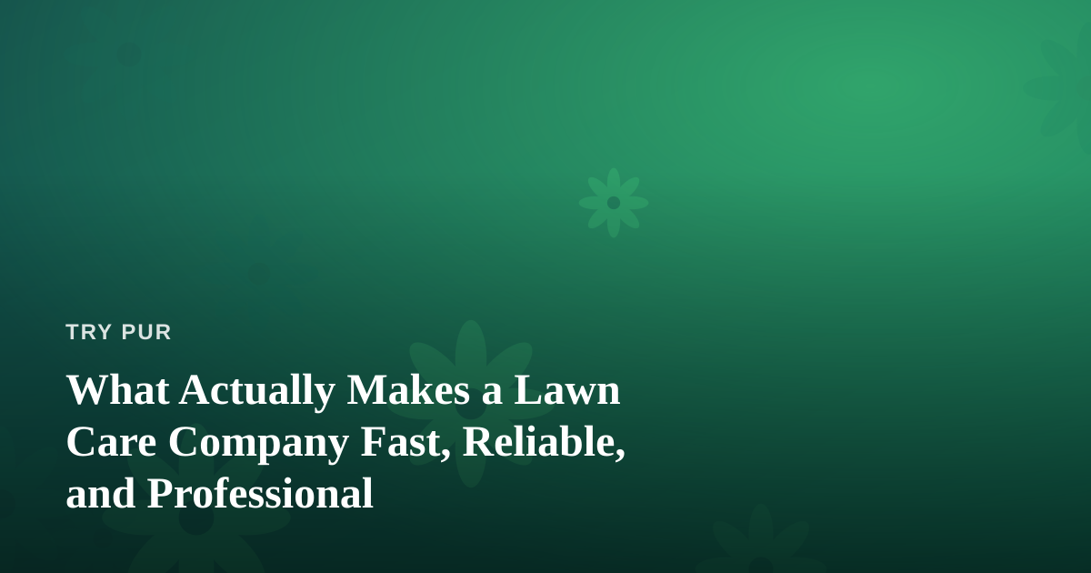 What Actually Makes a Lawn Care Company Fast, Reliable, and Professional