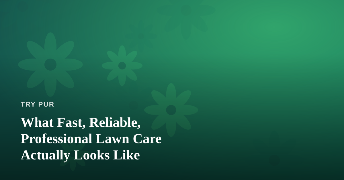 What Fast, Reliable, Professional Lawn Care Actually Looks Like