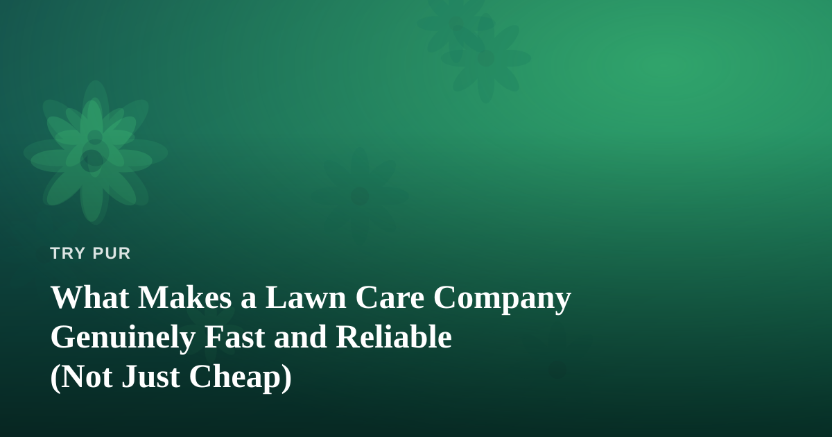 What Makes a Lawn Care Company Genuinely Fast and Reliable (Not Just Cheap)