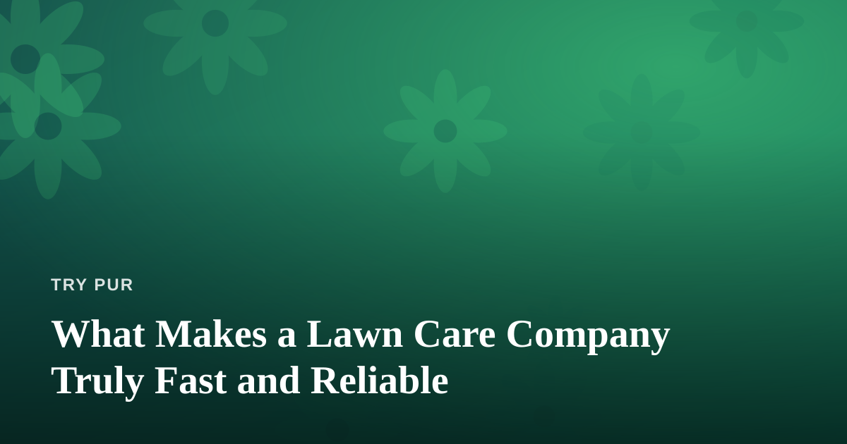What Makes a Lawn Care Company Truly Fast and Reliable