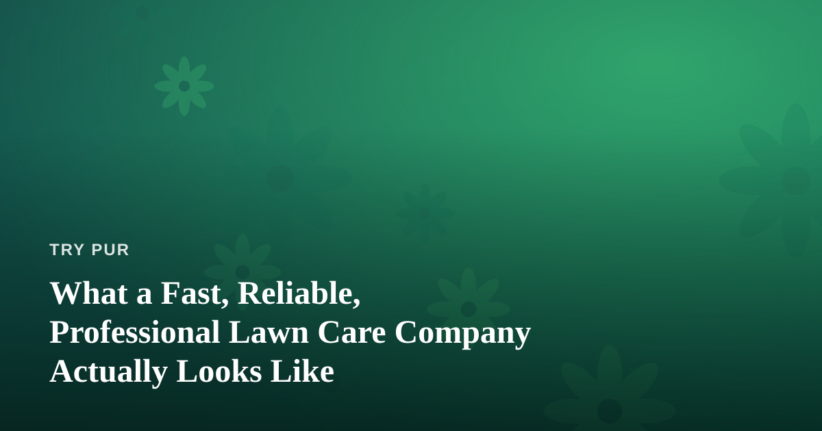 What a Fast, Reliable, Professional Lawn Care Company Actually Looks Like