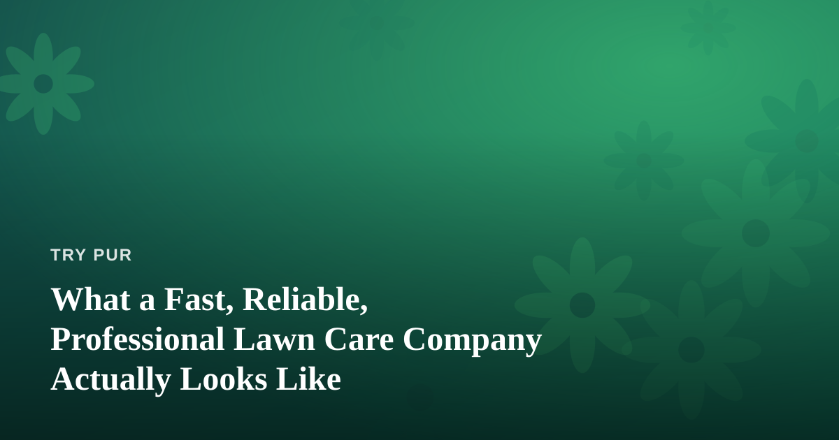 What a Fast, Reliable, Professional Lawn Care Company Actually Looks Like