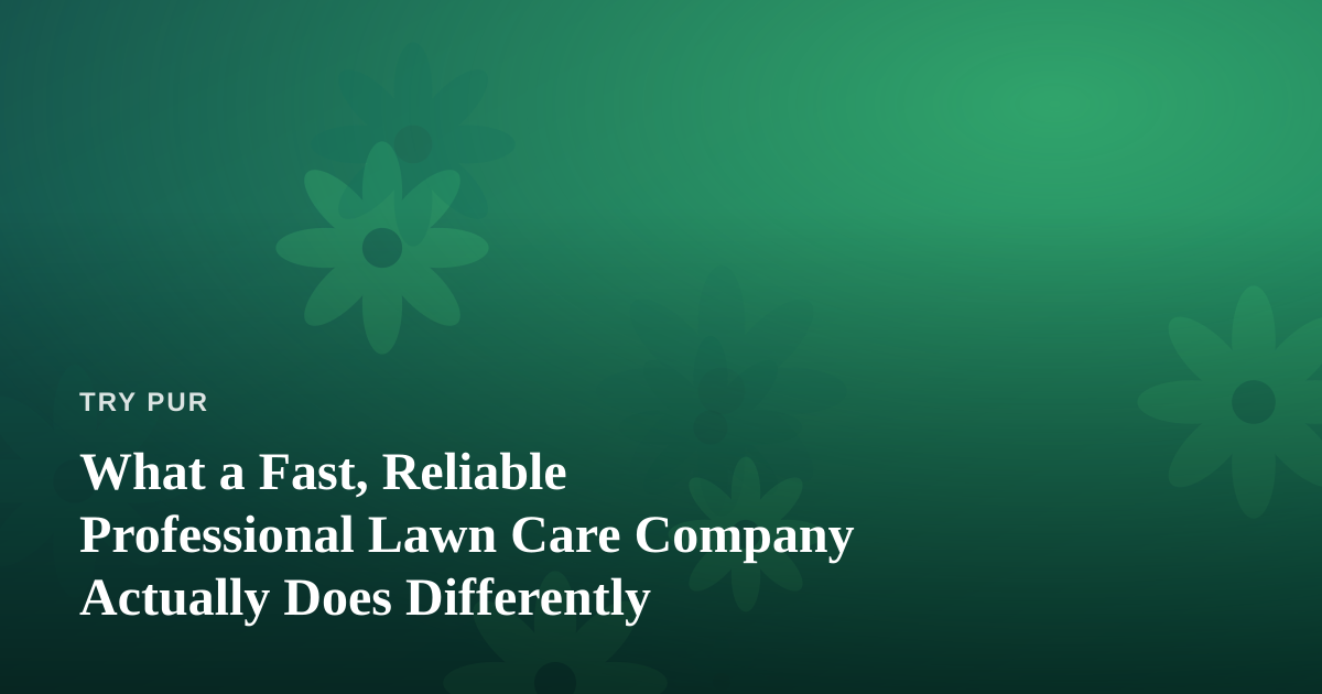 What a Fast, Reliable Professional Lawn Care Company Actually Does Differently