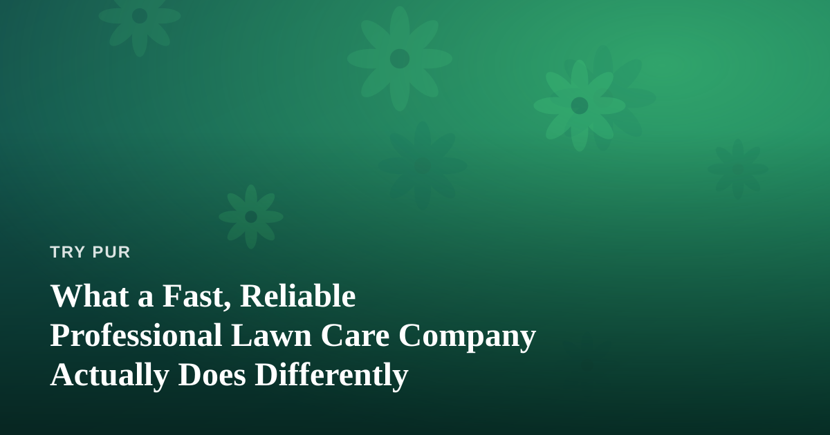 What a Fast, Reliable Professional Lawn Care Company Actually Does Differently