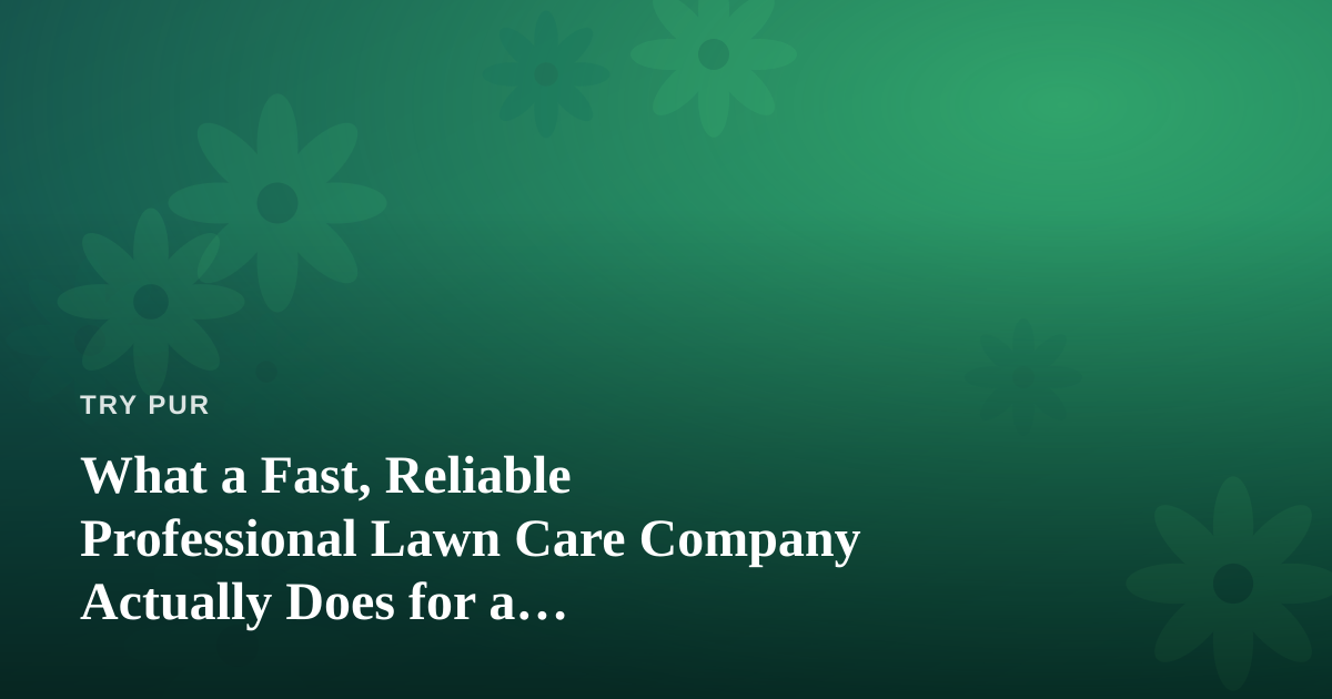 What a Fast, Reliable Professional Lawn Care Company Actually Does for a Clean-Living Home