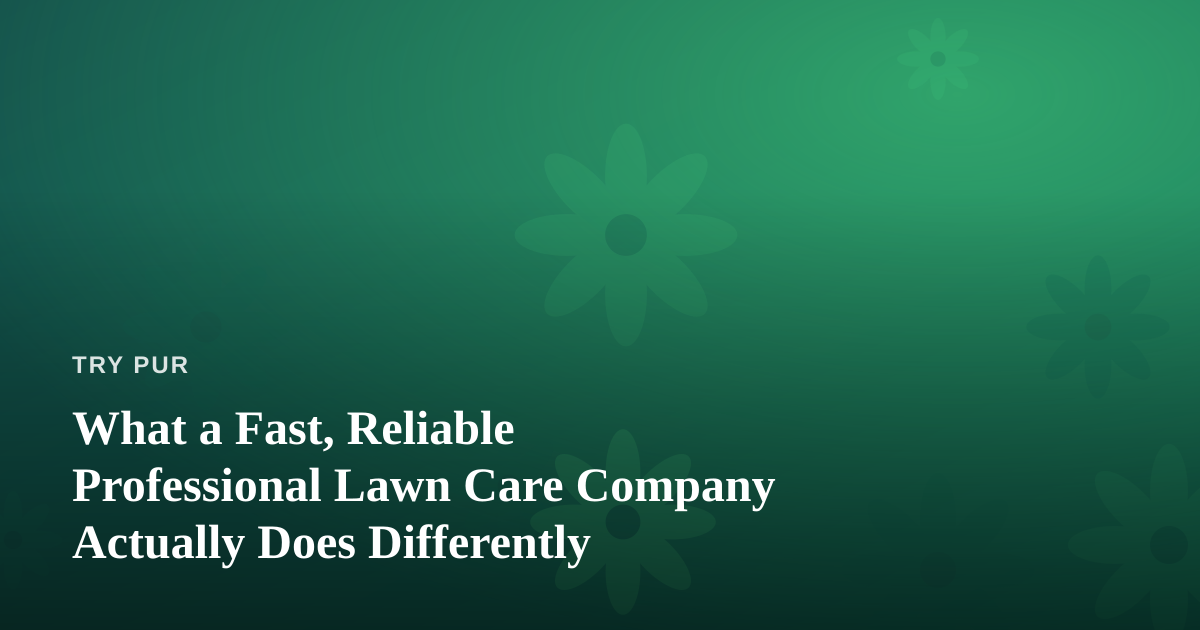What a Fast, Reliable Professional Lawn Care Company Actually Does Differently