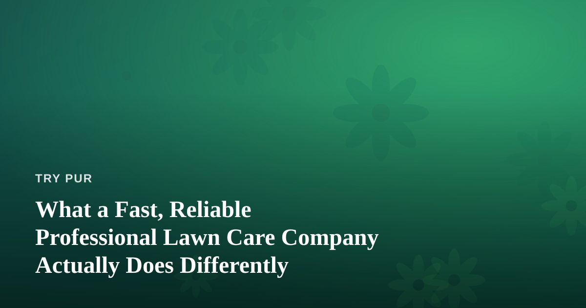 What a Fast, Reliable Professional Lawn Care Company Actually Does Differently