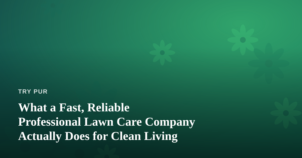 What a Fast, Reliable Professional Lawn Care Company Actually Does for Clean Living
