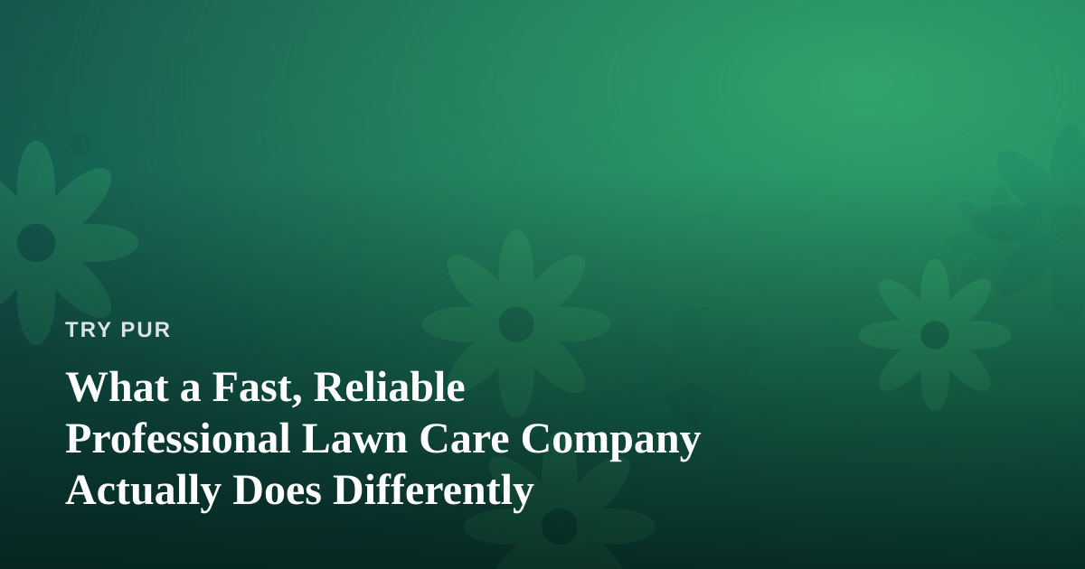 What a Fast, Reliable Professional Lawn Care Company Actually Does Differently