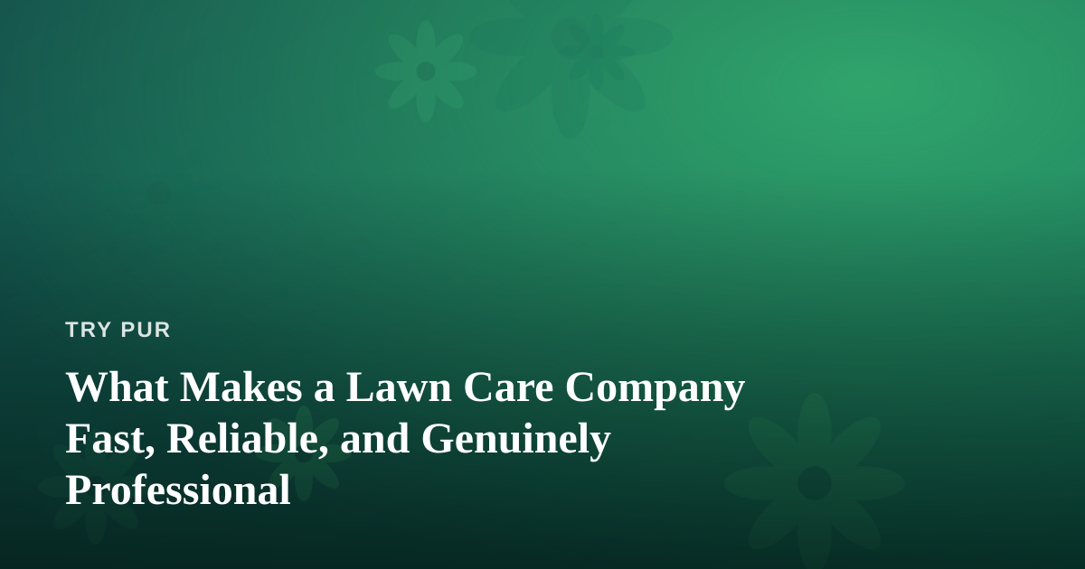 What Makes a Lawn Care Company Fast, Reliable, and Genuinely Professional