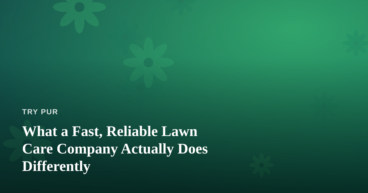 What a Fast, Reliable Lawn Care Company Actually Does Differently